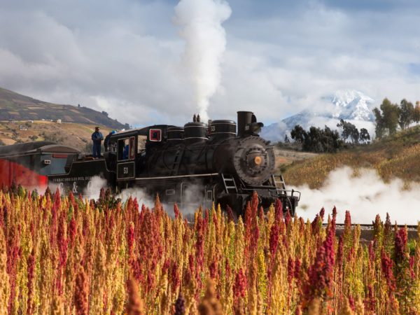 Tren Equador или Эквадорский поезд как бренд устойчивого туризма и победитель World Responsible Tourism Awards 2016