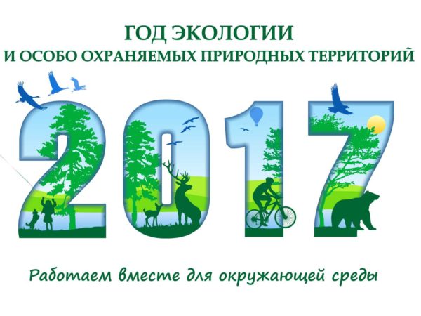 Развитие экологического туризма в России названа одной из главных задач Года экологии и устойчивого туризма
